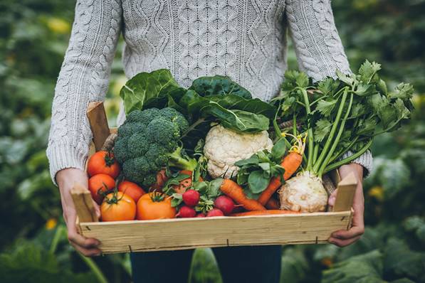 Picture of Vegetables in a Basket
