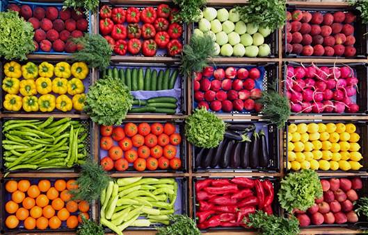 lots of vegetables in a basket